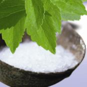 Stevia, nature's sweetener