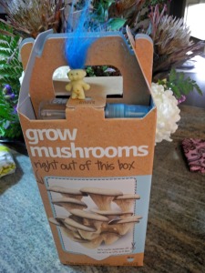 Grow mushrooms in your own castle